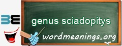 WordMeaning blackboard for genus sciadopitys